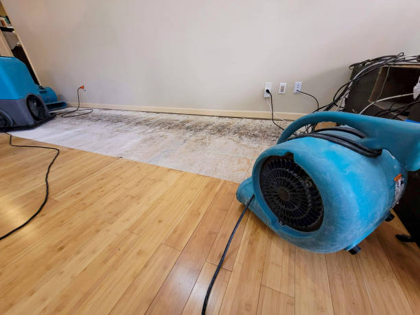 Professional Structural Drying technician working in Agawam, MA